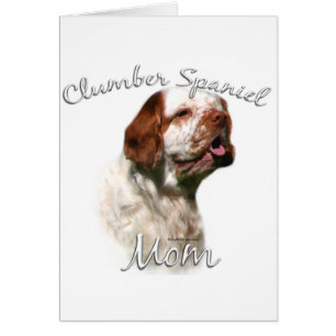 Clumber Spaniel Moeder 2