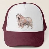 Clumber Spaniel Pet (Voorkant)