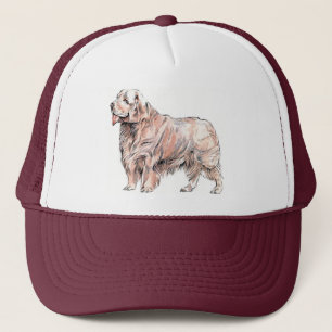 Clumber Spaniel Pet