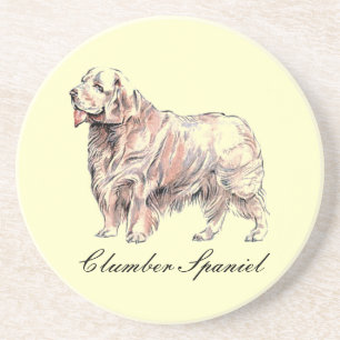 Clumber Spaniel Sandstone Onderzetter