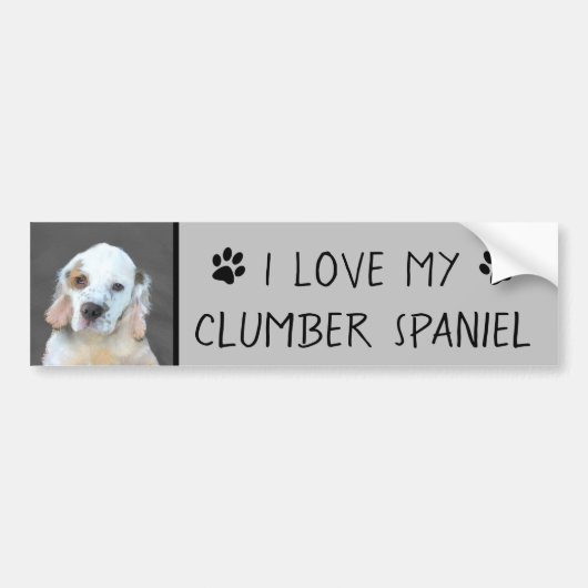 Clumber-spaniel schilderen - Kute Original Dog Art Bumpersticker (Voorkant)