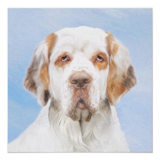 Clumber-spaniel schilderen - Kute Original Dog Art Perfect Poster (Voorkant)