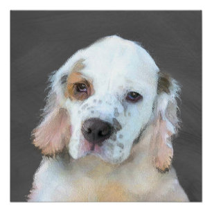 Clumber-spaniel schilderen - Kute Original Dog Art Poster