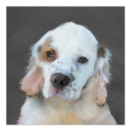 Clumber-spaniel schilderen - Kute Original Dog Art Poster (Voorkant)