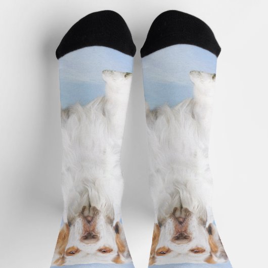 Clumber-spaniel schilderen - Kute Original Dog Art Sokken (Top)