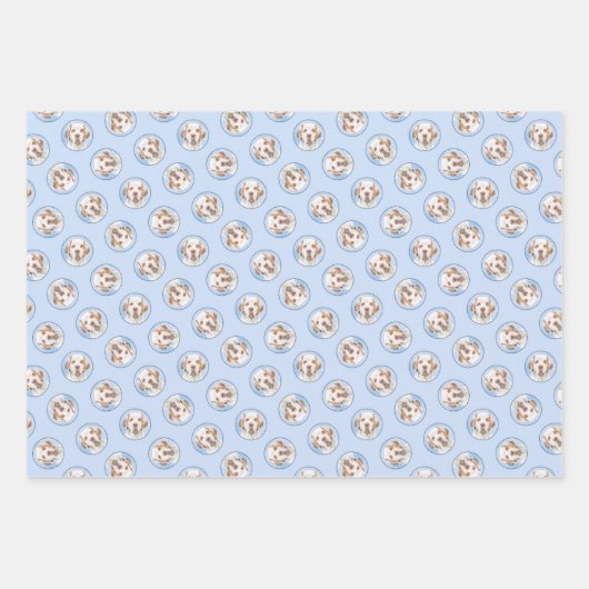 Clumber Spaniel Schilderen Schattigee Originele Pe Inpakpapier Vel (Voorkant)