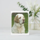 Clumber Spanjaard 9Y003D-101 Briefkaart (Staand voorkant)