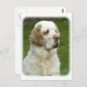 Clumber Spanjaard 9Y003D-101 Briefkaart (Voorkant / Achterkant)