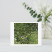 Clumps of Grass, Vincent van Gogh Briefkaart (Staand voorkant)
