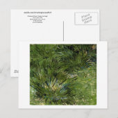 Clumps of Grass, Vincent van Gogh Briefkaart (Voorkant / Achterkant)
