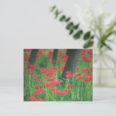Cluster-amaryllis Briefkaart (Staand voorkant)