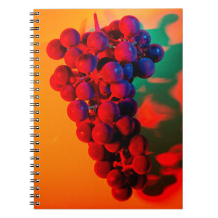 Cluster blauwe druif in oranje neonlicht. Voedsel Notitieboek