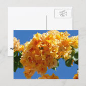 Cluster Golden Bougainvillea Floral Briefkaart (Voorkant / Achterkant)