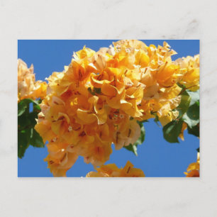 Cluster Golden Bougainvillea Floral Briefkaart