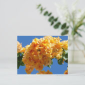 Cluster Golden Bougainvillea Floral Briefkaart (Staand voorkant)