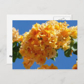 Cluster Golden Bougainvillea Floral Briefkaart (Voorkant / Achterkant)