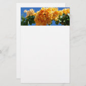 Cluster Golden Bougainvillea Floral Briefpapier (Voorkant / Achterkant)
