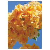 Cluster Golden Bougainvillea Floral Klembord (Achterkant)