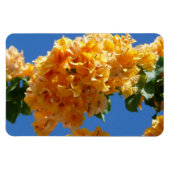 Cluster Golden Bougainvillea Floral Magneet (Horizontaal)
