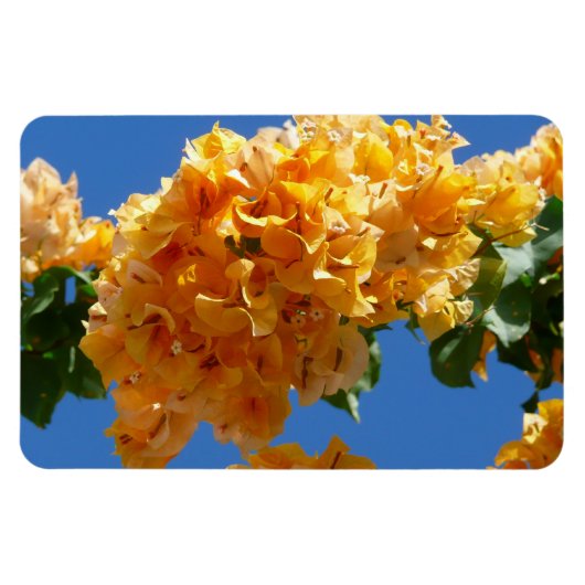 Cluster Golden Bougainvillea Floral Magneet (Horizontaal)