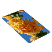 Cluster Golden Bougainvillea Floral Magneet (Rechterzijde)