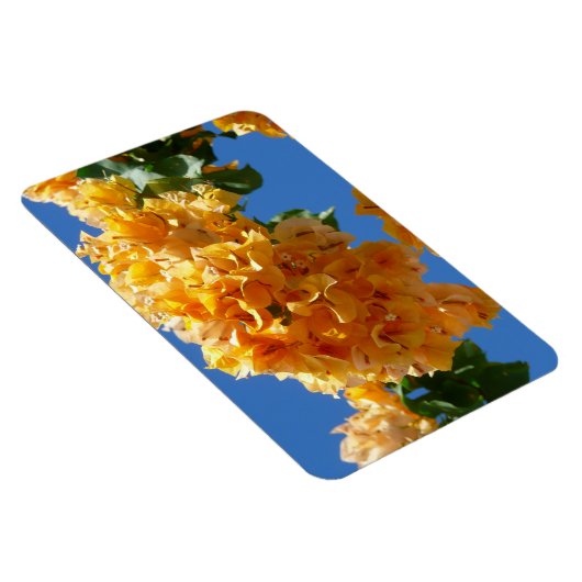 Cluster Golden Bougainvillea Floral Magneet (Rechterzijde)