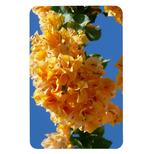 Cluster Golden Bougainvillea Floral Magneet (Verticaal)