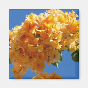 Cluster Golden Bougainvillea Floral Magneet
