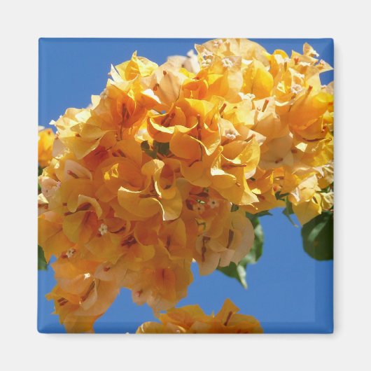 Cluster Golden Bougainvillea Floral Magneet (Voorkant)