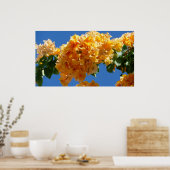 Cluster Golden Bougainvillea Floral Poster (Keuken)
