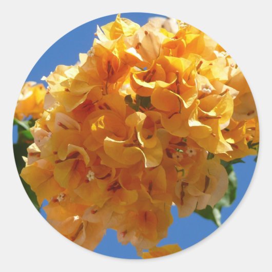 Cluster Golden Bougainvillea Floral Ronde Sticker (Voorkant)