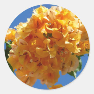 Cluster Golden Bougainvillea Floral Ronde Sticker