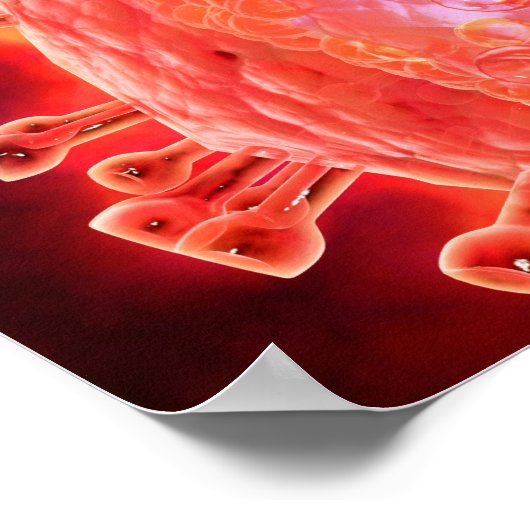 Cluster HIV-virus 1 Poster (Hoek)