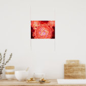 Cluster HIV-virus 1 Poster (Keuken)