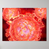 Cluster HIV-virus 1 Poster (Voorkant)