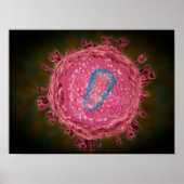 Cluster HIV-virus 2 Poster (Voorkant)