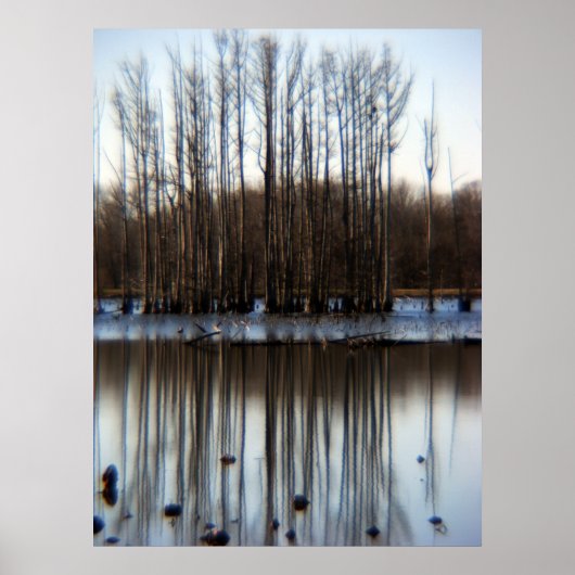 Cluster Poster (Voorkant)