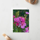 Cluster roze rozen notitiekaartje (Voorkant / Achterkant in situ)