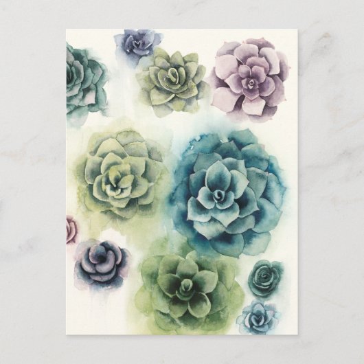 Cluster Succulenten Briefkaart (Voorkant)