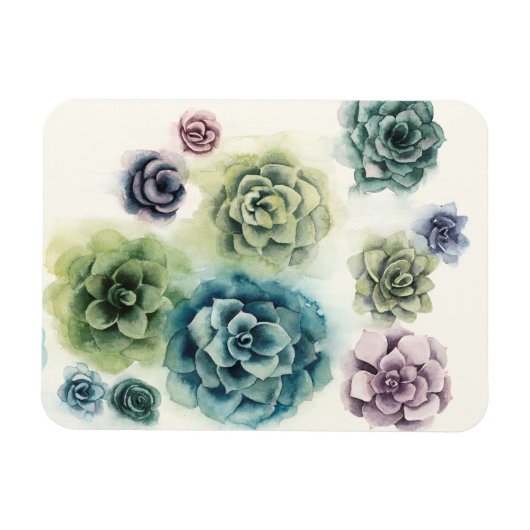 Cluster Succulenten Magneet (Horizontaal)