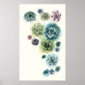 Cluster Succulenten Poster (Voorkant)