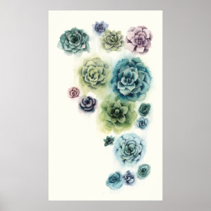 Cluster Succulenten Poster