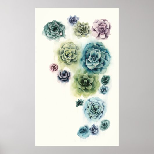 Cluster Succulenten Poster (Voorkant)