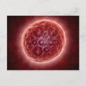 Cluster van Blastomeres die een Morula vormt Briefkaart (Voorkant)