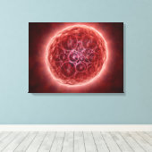 Cluster van Blastomeres die een Morula vormt Canvas Afdruk (Insitu (Houten vloer))