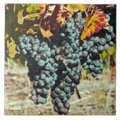 "CLUSTER VAN DRUIVEN BUNGELEN UIT WIJNSTOK" KERAMI TEGELTJE (Voorkant)