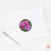 Cluster van lavendel Roze Rozen Ronde Sticker (Envelop)