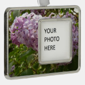 Cluster van Lila bloesems-lentekort Verzilverd Omlijst Ornament (Rechts)
