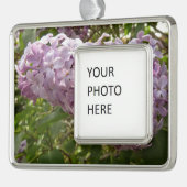 Cluster van Lila bloesems-lentekort Verzilverd Omlijst Ornament (Links)