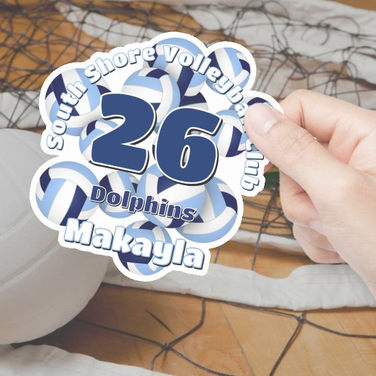 Cluster van Marine Lichtblauwe Volleyballen Team N Sticker